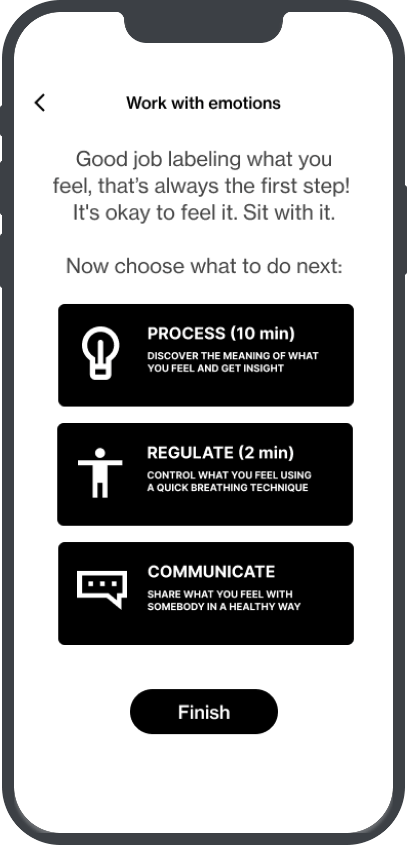 Example screen of the Animi application showing emotion processing, regulation, and communication tools